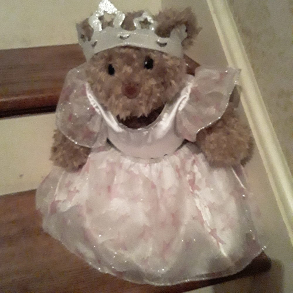 Vintage Build a Bear Princess Tiara Teddy Bear